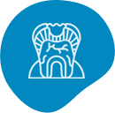 Root Canal Brisbane Dental Abscess Treatment Brisbane